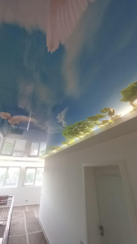 Tavan Extensibil cu print