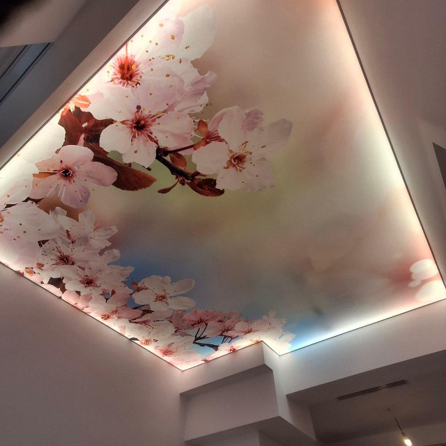 Tavan Extensibil cu print și banda led'
